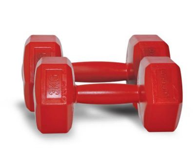 Dynamic - Dynamic Vinly Dambıl/ 2 Adet 3 KG-1DYASVINYL/3K