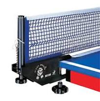 Voit - DONGXING ITTF ONAYLI AĞ VE DEMİR SETİ (1DGAK9819N)